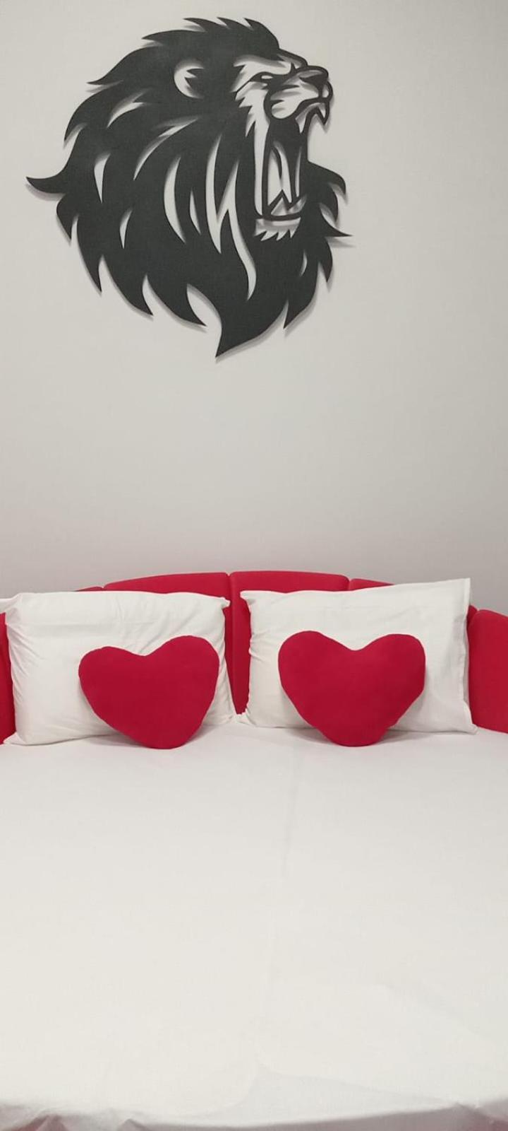 Aslan Apartament *